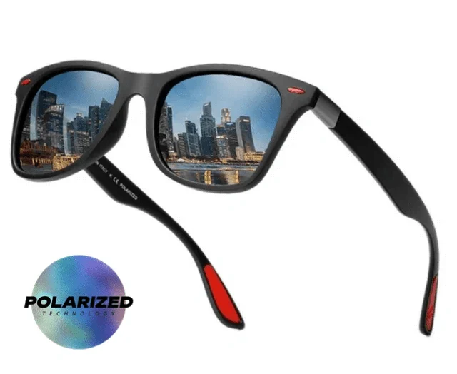 H.D Modesto Sunglasses